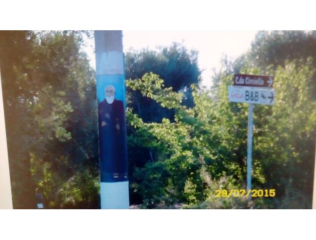 Anteprima foto 3 - Terreno Agricolo/Coltura in Vendita a Ceglie Messapica (Brindisi)