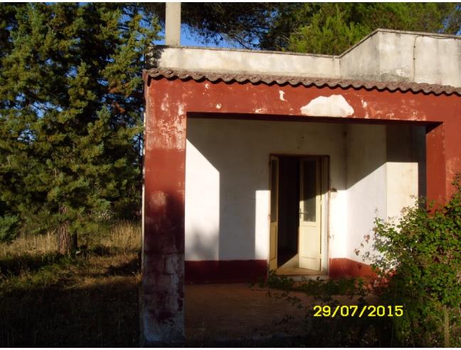 Anteprima foto 6 - Terreno Agricolo/Coltura in Vendita a Ceglie Messapica (Brindisi)