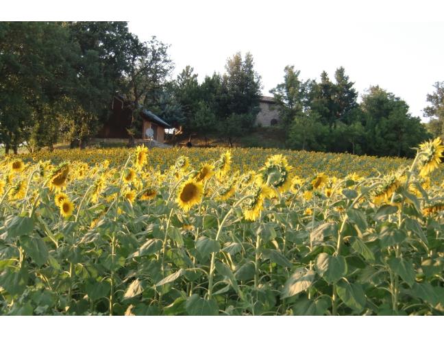 Anteprima foto 6 - Terreno Agricolo/Coltura in Vendita a Cesena - Tessello