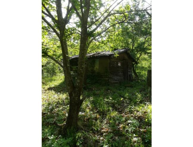 Anteprima foto 2 - Terreno Agricolo/Coltura in Vendita a Chianni - Rivalto