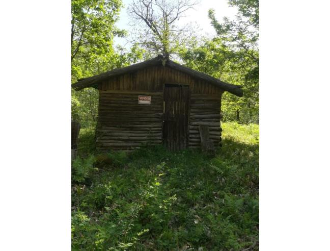 Anteprima foto 4 - Terreno Agricolo/Coltura in Vendita a Chianni - Rivalto