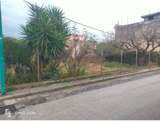 Anteprima foto 2 - Terreno Agricolo/Coltura in Vendita a Cimitile (Napoli)