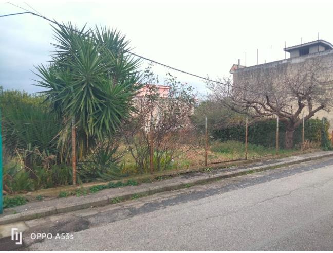 Anteprima foto 3 - Terreno Agricolo/Coltura in Vendita a Cimitile (Napoli)