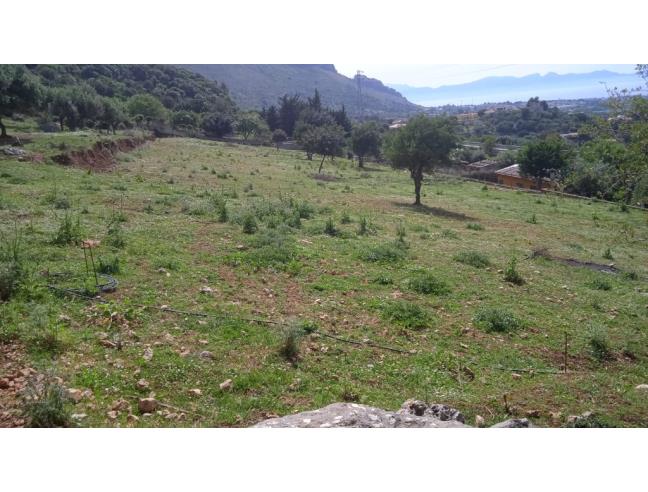 Anteprima foto 4 - Terreno Agricolo/Coltura in Vendita a Cinisi - Favarotta