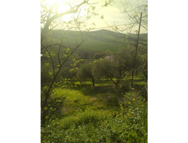 Anteprima foto 2 - Terreno Agricolo/Coltura in Vendita a Civitanova Marche - Civitanova Alta