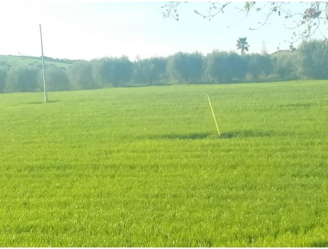 Anteprima foto 3 - Terreno Agricolo/Coltura in Vendita a Civitanova Marche - Civitanova Alta
