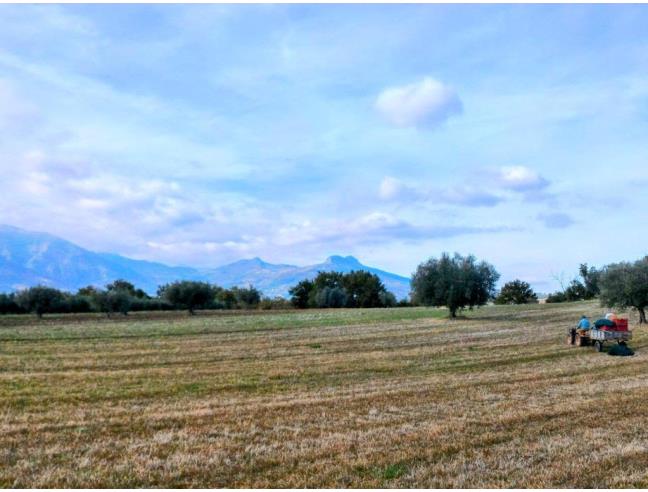 Anteprima foto 4 - Terreno Agricolo/Coltura in Vendita a Civitaquana (Pescara)