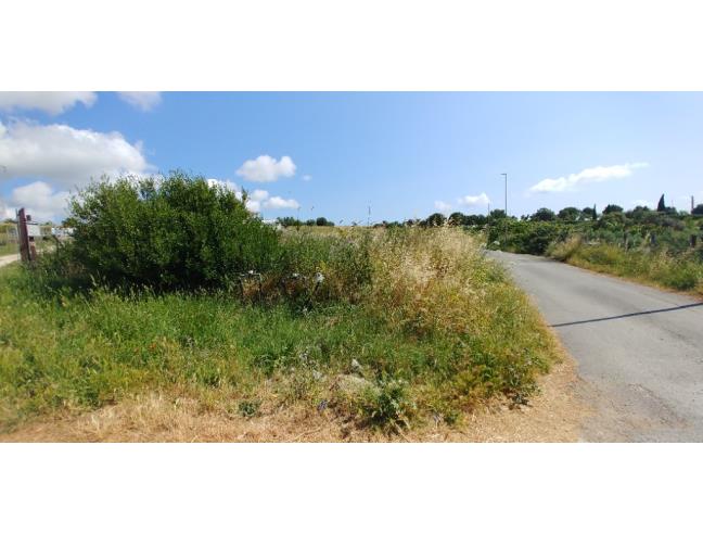 Anteprima foto 3 - Terreno Agricolo/Coltura in Vendita a Civitavecchia (Roma)