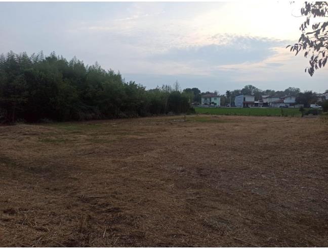 Anteprima foto 2 - Terreno Agricolo/Coltura in Vendita a Codroipo (Udine)