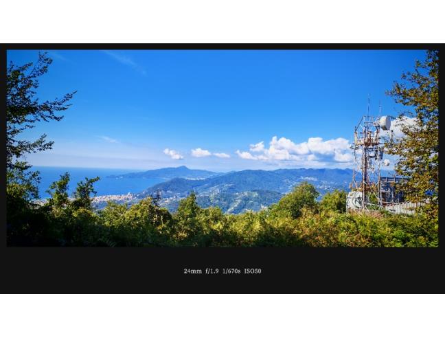 Anteprima foto 3 - Terreno Agricolo/Coltura in Vendita a Cogorno - San Salvatore