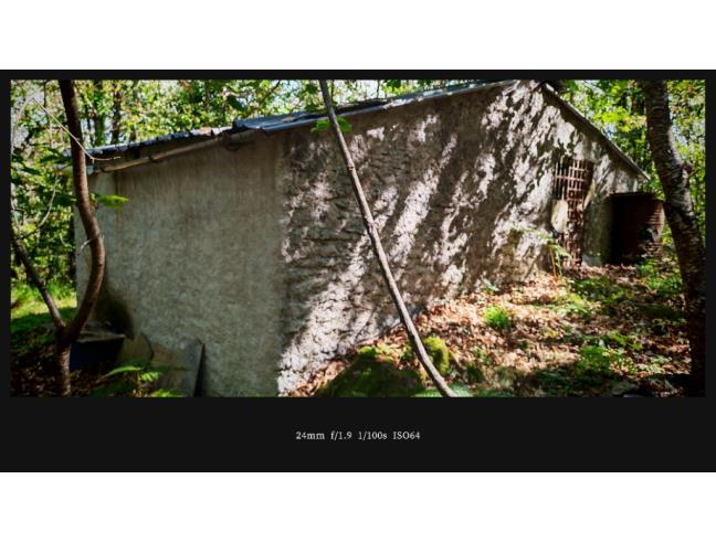Anteprima foto 6 - Terreno Agricolo/Coltura in Vendita a Cogorno - San Salvatore