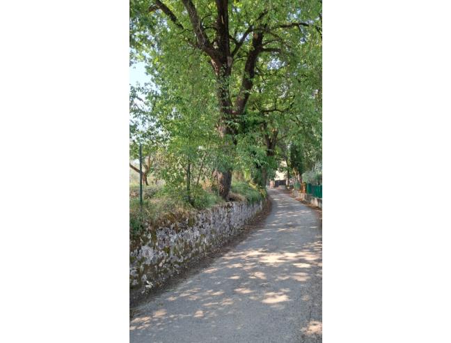 Anteprima foto 1 - Terreno Agricolo/Coltura in Vendita a Colle di Val d'Elsa (Siena)