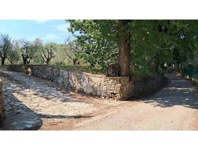 Anteprima foto 1 - Terreno Agricolo/Coltura in Vendita a Colle di Val d'Elsa (Siena)