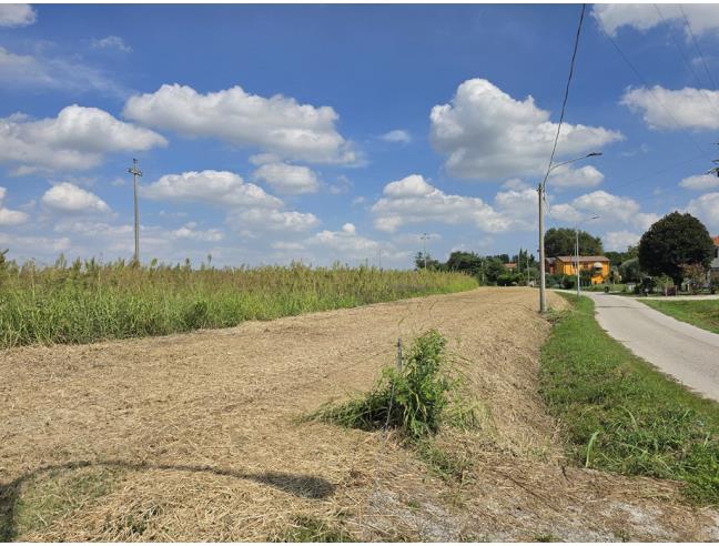 Anteprima foto 2 - Terreno Agricolo/Coltura in Vendita a Copparo (Ferrara)