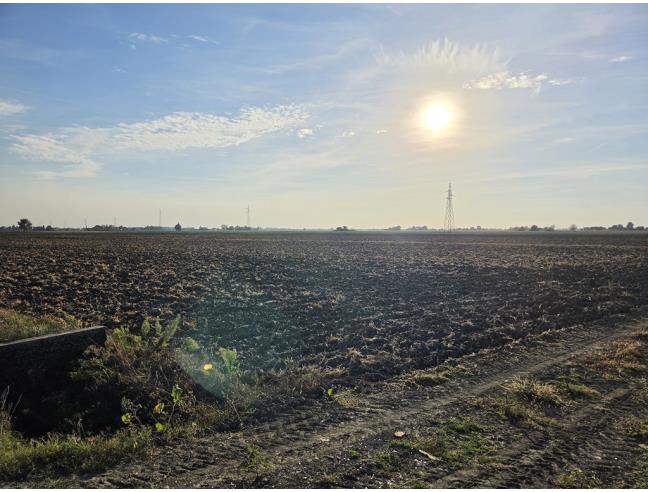 Anteprima foto 2 - Terreno Agricolo/Coltura in Vendita a Copparo (Ferrara)