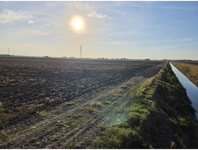 Anteprima foto 3 - Terreno Agricolo/Coltura in Vendita a Copparo (Ferrara)