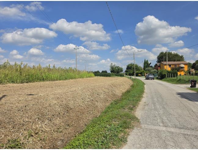 Anteprima foto 3 - Terreno Agricolo/Coltura in Vendita a Copparo (Ferrara)