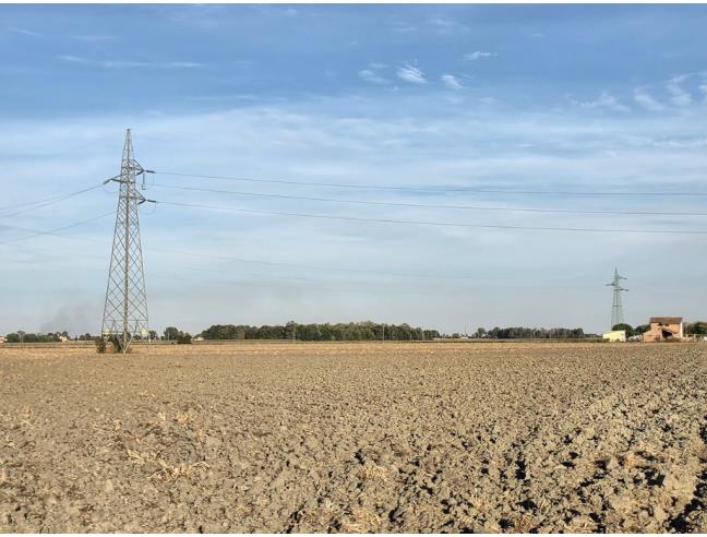 Anteprima foto 4 - Terreno Agricolo/Coltura in Vendita a Copparo (Ferrara)