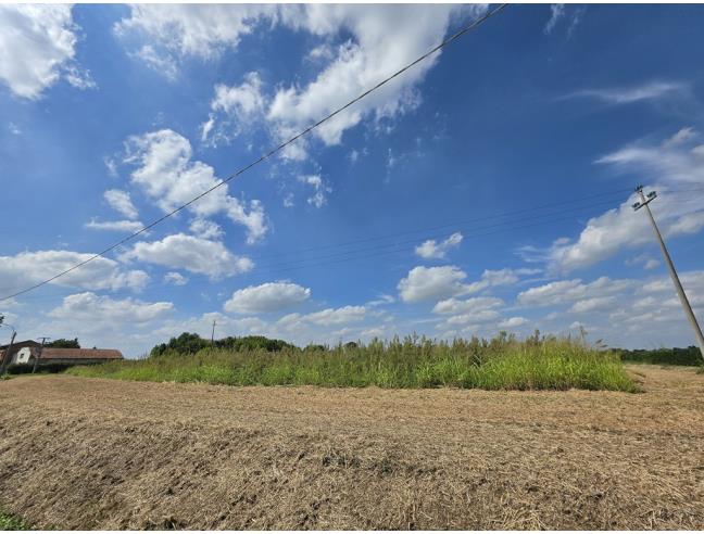 Anteprima foto 4 - Terreno Agricolo/Coltura in Vendita a Copparo (Ferrara)