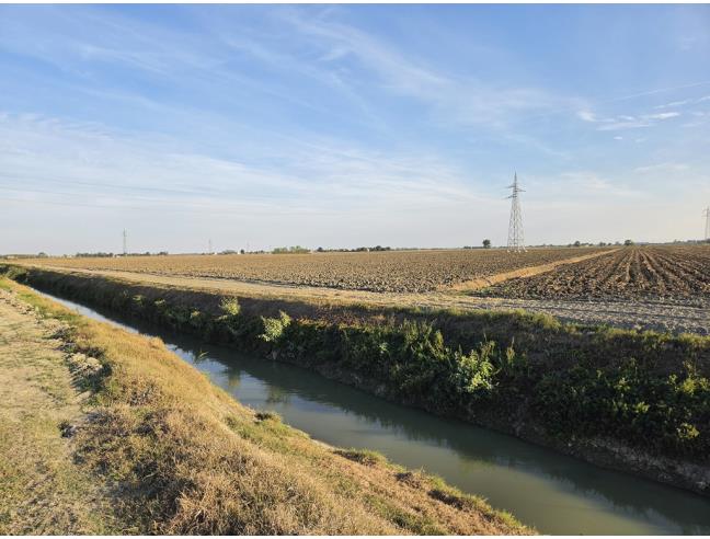Anteprima foto 5 - Terreno Agricolo/Coltura in Vendita a Copparo (Ferrara)