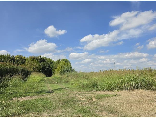 Anteprima foto 5 - Terreno Agricolo/Coltura in Vendita a Copparo (Ferrara)