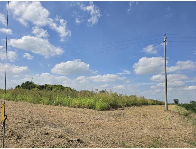 Anteprima foto 6 - Terreno Agricolo/Coltura in Vendita a Copparo (Ferrara)