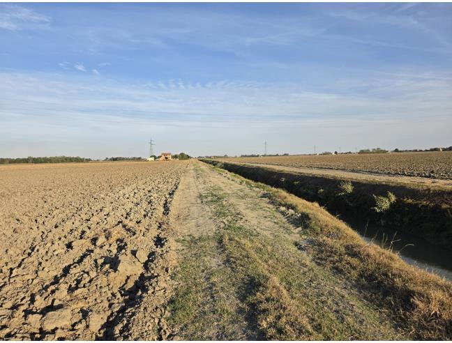 Anteprima foto 7 - Terreno Agricolo/Coltura in Vendita a Copparo (Ferrara)