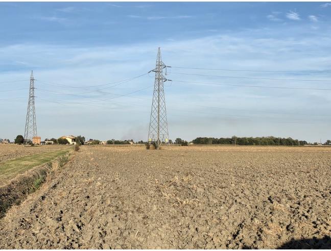 Anteprima foto 8 - Terreno Agricolo/Coltura in Vendita a Copparo (Ferrara)
