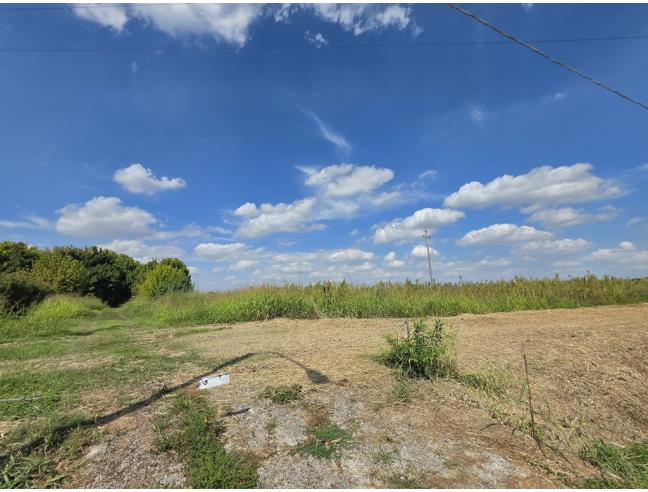 Anteprima foto 8 - Terreno Agricolo/Coltura in Vendita a Copparo (Ferrara)