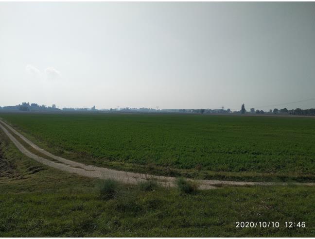 Anteprima foto 2 - Terreno Agricolo/Coltura in Vendita a Corana (Pavia)