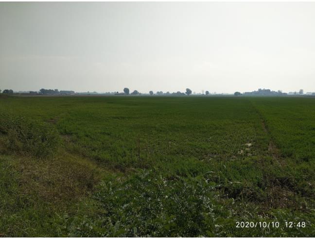 Anteprima foto 3 - Terreno Agricolo/Coltura in Vendita a Corana (Pavia)