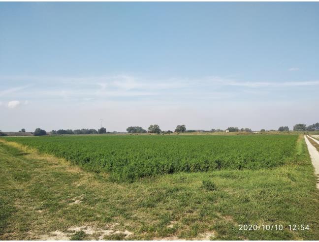 Anteprima foto 4 - Terreno Agricolo/Coltura in Vendita a Corana (Pavia)