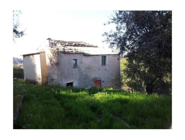 Anteprima foto 1 - Terreno Agricolo/Coltura in Vendita a Corigliano-Rossano (Cosenza)