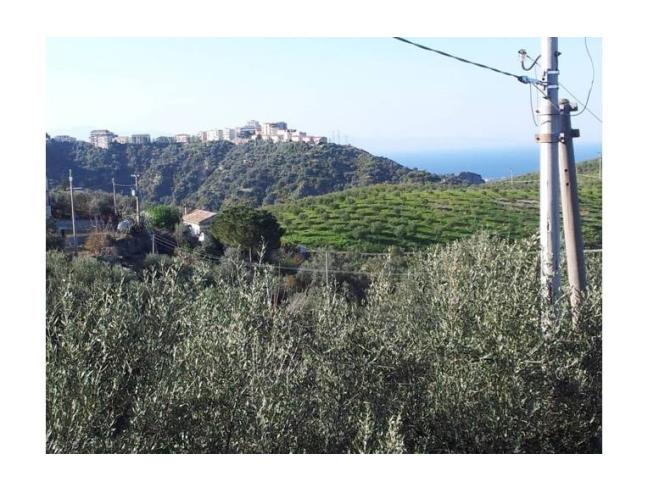 Anteprima foto 4 - Terreno Agricolo/Coltura in Vendita a Corigliano-Rossano (Cosenza)