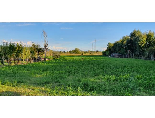 Anteprima foto 2 - Terreno Agricolo/Coltura in Vendita a Cortona - San Lorenzo