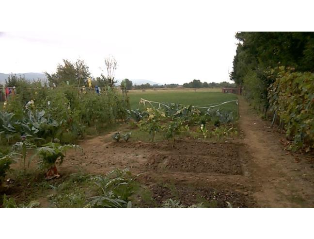 Anteprima foto 6 - Terreno Agricolo/Coltura in Vendita a Cortona - San Lorenzo