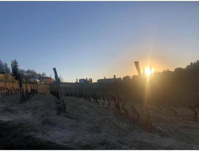 Anteprima foto 2 - Terreno Agricolo/Coltura in Vendita a Costigliole d'Asti (Asti)