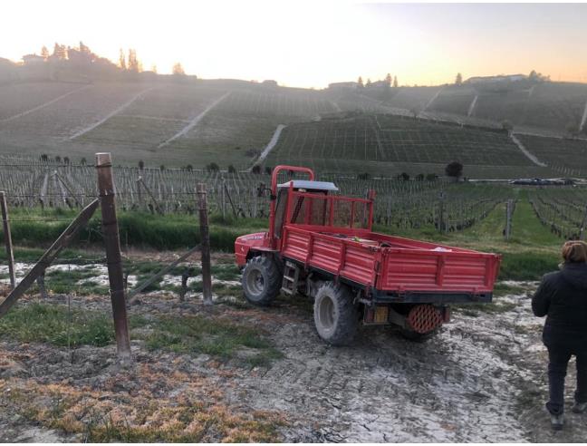 Anteprima foto 4 - Terreno Agricolo/Coltura in Vendita a Costigliole d'Asti (Asti)