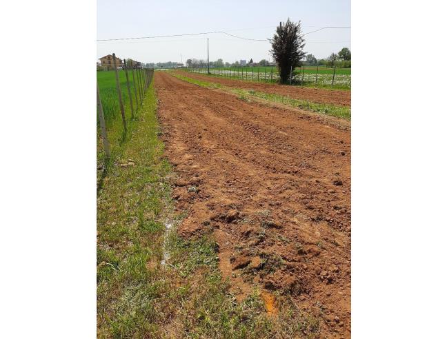 Anteprima foto 7 - Terreno Agricolo/Coltura in Vendita a Druento (Torino)