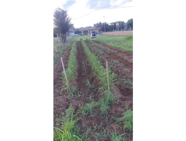 Anteprima foto 8 - Terreno Agricolo/Coltura in Vendita a Druento (Torino)