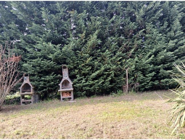 Anteprima foto 3 - Terreno Agricolo/Coltura in Vendita a Empoli - Tinaia