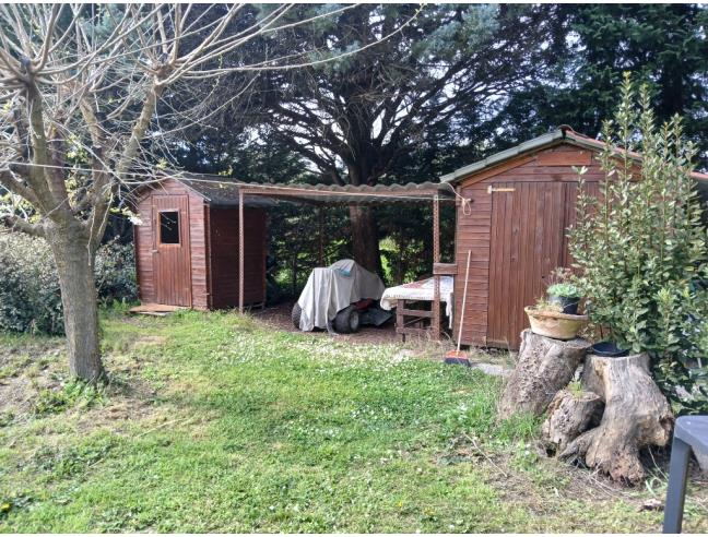 Anteprima foto 4 - Terreno Agricolo/Coltura in Vendita a Empoli - Tinaia