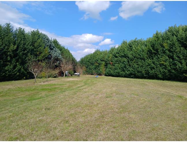 Anteprima foto 5 - Terreno Agricolo/Coltura in Vendita a Empoli - Tinaia