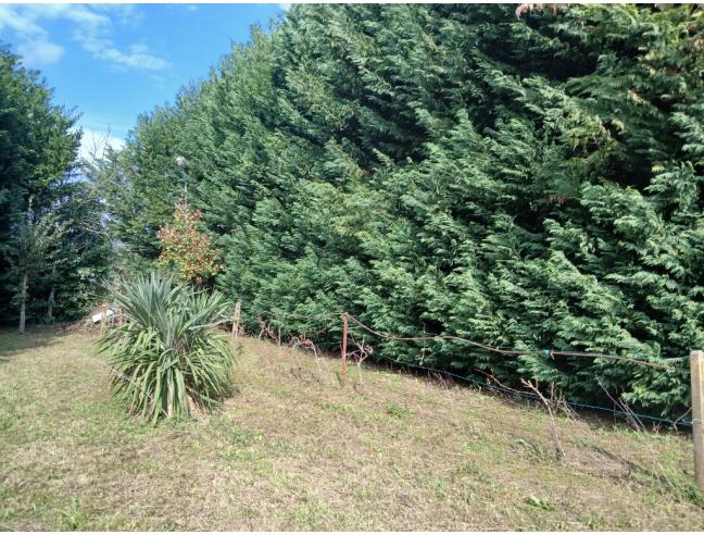 Anteprima foto 7 - Terreno Agricolo/Coltura in Vendita a Empoli - Tinaia