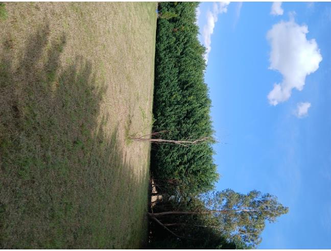 Anteprima foto 8 - Terreno Agricolo/Coltura in Vendita a Empoli - Tinaia