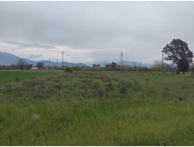 Anteprima foto 6 - Terreno Agricolo/Coltura in Vendita a Esperia - Monticelli