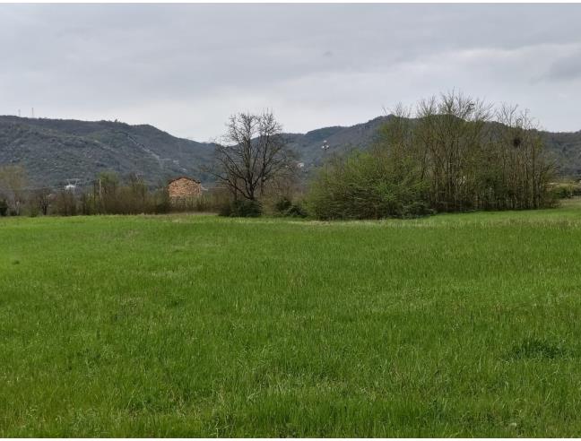 Anteprima foto 7 - Terreno Agricolo/Coltura in Vendita a Esperia - Monticelli