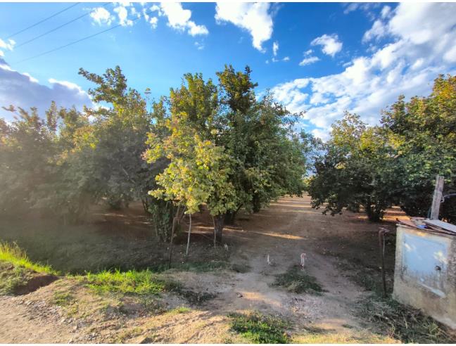 Anteprima foto 2 - Terreno Agricolo/Coltura in Vendita a Fabrica di Roma (Viterbo)