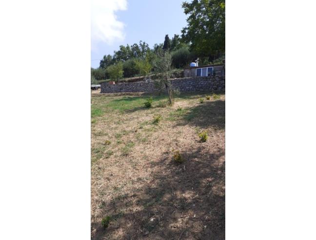 Anteprima foto 3 - Terreno Agricolo/Coltura in Vendita a Ficarra (Messina)