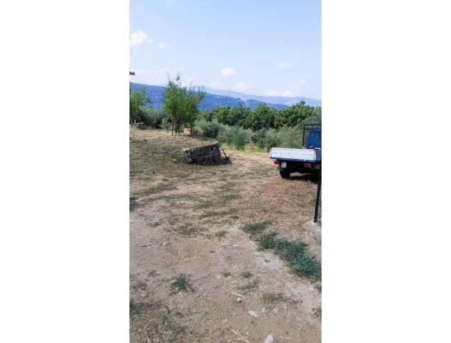 Anteprima foto 4 - Terreno Agricolo/Coltura in Vendita a Ficarra (Messina)